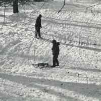 Taylor Park: Winter Sledding on the Taylor Park Slope, 1976