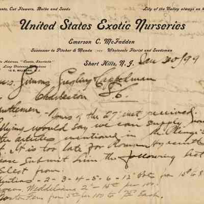 Nurseries: US Exotic Nurseries Invoice, 1899