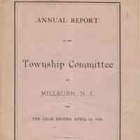 Township Committee: Annual Report, 1876