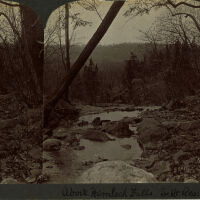 South Mountain Reservation Stereograph Above Hemlock Falls