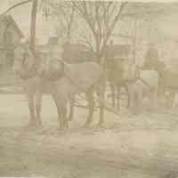 Marshall-Schmidt Album: Man Driving Horse-Drawn Cart in the Snow