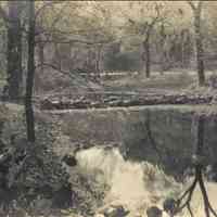 Hartshorn: Cora Hartshorn Photographs of South Mountain Reservation