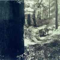 Arboretum: Man with Cart Photograph