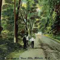 On the Road to Short Hills, Millburn, N.J., c. 1910