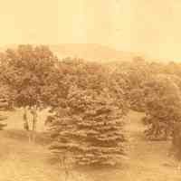Hartshorn Album 3: View of Mountain with Trees in Foreground