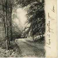          Mair, July 1906 (front)
   