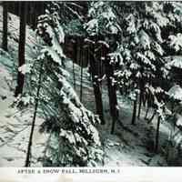          After a Snow Fall, 1908 picture number 1
   
