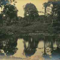 Hartshorn Album 3: Reflective Pond in Short Hills