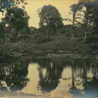          Hartshorn Album 3: Reflective Pond in Short Hills picture number 1
   