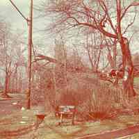          Corner of Marion Avenue and Old Short Hills Road, the office of Dentist Cornell Grossman
   