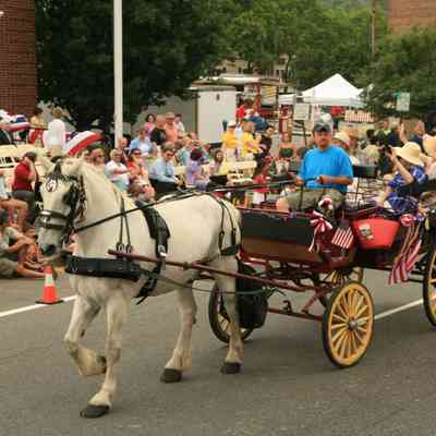 Sesquicentennial Parade: Horse-Drawn Carriages, 2007
