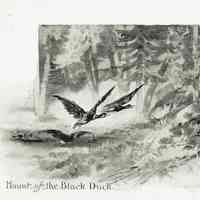          Plate 10
   