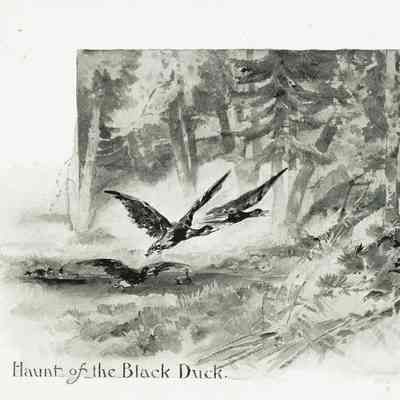 Plate 10