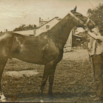 Marshall-Schmidt Album: Man Standing Outside Holding Horse's Bridle