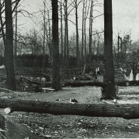 Hurricane: Damage to St. Stephen