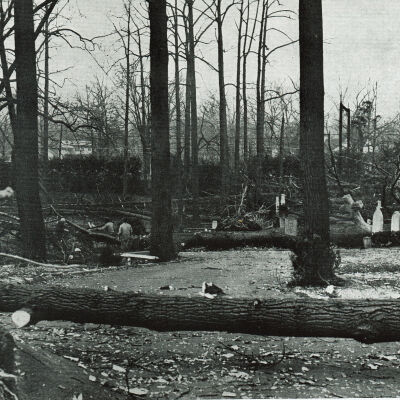Hurricane: Damage to St. Stephen's Cemetery, 1950
