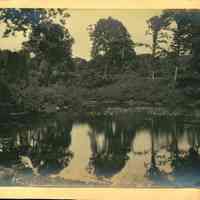          Hartshorn Album 3: Reflective Pond in Short Hills picture number 2
   