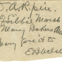          Brison: DAR Pins (2) Given to Emilie Benson Welsh picture number 3
   
