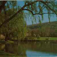 Taylor Park: Pond and Flagpole