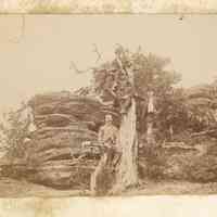          Bosworth: Photographs of Men & Women Climbing on Rocks and Trees, c. 1900 picture number 1
   