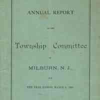 Township Committee: Annual Report, 1880