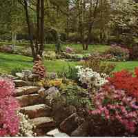          Arboretum: Cora Hartshorn Arboretum Postcard View picture number 1
   