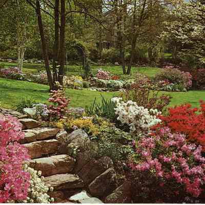 Arboretum: Cora Hartshorn Arboretum Postcard View