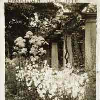 Brooklawn, N.J.: Garden, 1910