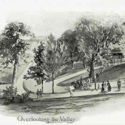 Plate 11