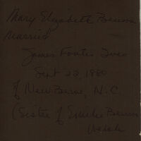          Brison: Mary Elizabeth Benson Wedding Portrait, 1880 picture number 2
   