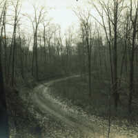 Hartshorn: Dirt Road on Hartshorn Estates Near the Saw Mill, Below the Water Tank