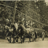 Parade: May 1917, Horse Drawn Wagon Leading Parade