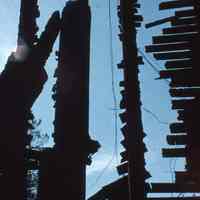          Racquets Club: Racquets Club Fire Aftermath, 1978 picture number 10
   