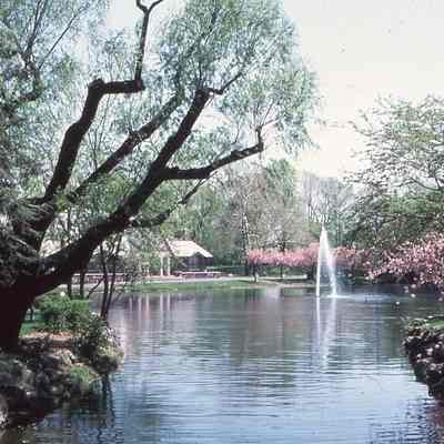 Recreation Building, Pond, Fountain and Cherry Blossoms taken by Owen Lampe in July 1982.