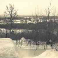 Hartshorn: Cora Hartshorn Photograph from South Mountain Reservation