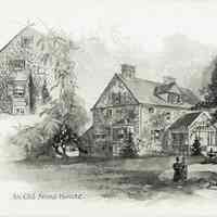          Plate 12
   