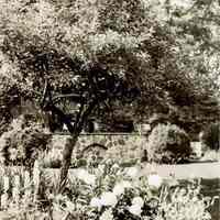 Wodell & Cottrell: Bancroft Gherardi Garden, June 1936