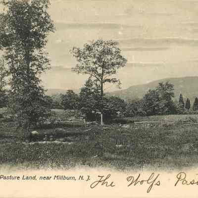 South Mountain: Pasture Land Near Millburn, NJ, 1906