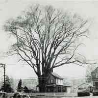          1946 image reprinted in 1947 