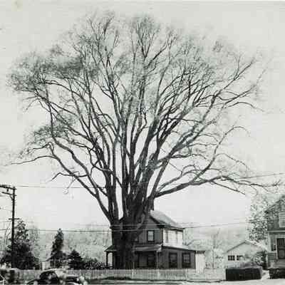 1946 image reprinted in 1947 "Development of a Community" Brochure
