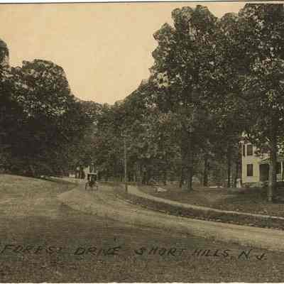 Forest Drive, Short Hills