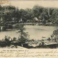          Old Mill Pond, Millburn, 1906 picture number 1
   