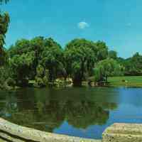 Taylor Park: View of Pond From Bridge, 1962