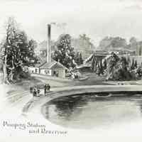          Plate 13
   