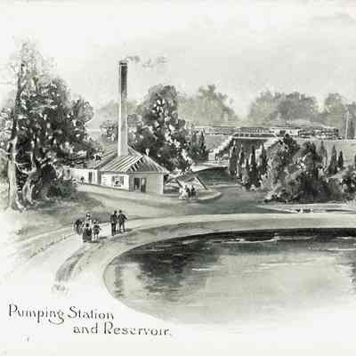 Plate 13