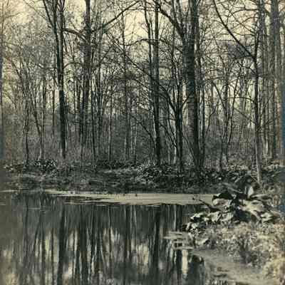 Hartshorn Photo Album 2: The Trout Pond Pool