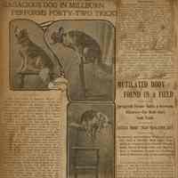          Flanagan Scrapbook: Performing Dog, Bishop O'Connor, Trotting Race, page 32 picture number 1
   