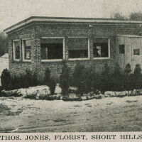 Thomas Jones Florist, Short Hills