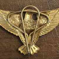          AWVS: American Woman's Voluntary Services Eagle Pin, c. 1943 picture number 2
   