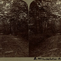 South Mountain Reservation Stereograph